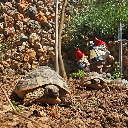 Apartment And Dona *