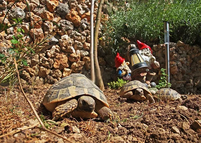 Апартаменти And Dona *